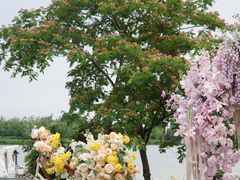 -荷兰花海
