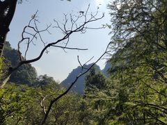 -宁波五龙潭景区