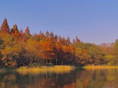 -西湖游船