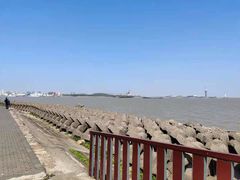 -上海滨江森林公园