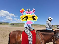 -山丹皇家马场
