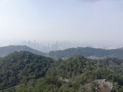 -大金鹰园
