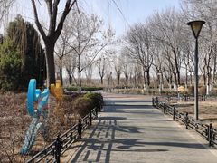 -大兴滨河森林公园