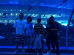 -成都浩海立方海洋公园