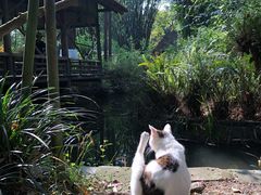 -成都杜甫草堂博物馆