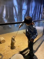 -酷嗒动物文化乐园(cutezoo西溪乐天城店)