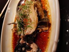 小龙胆-杭越海鲜(迪荡店)