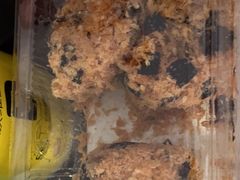 -泸溪河桃酥(欧尚店)