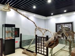 -游龙石文化科普馆