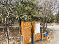 -太阳宫足球俱乐部
