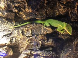 -酷嗒动物文化乐园(cutezoo西溪乐天城店)