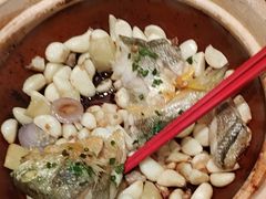 -新雅粤菜馆(南京东路店)