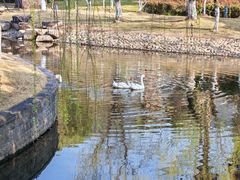-宁波九龙湖开元度假村