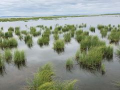 -花湖生态旅游区