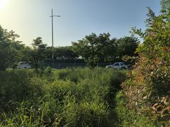 -幕燕滨江·长江观音景区