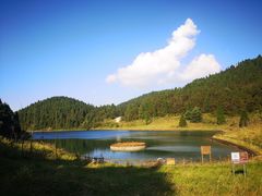 -武陵山森林公园