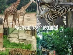 -深圳野生动物园