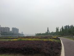 -眉山湿地公园(东坡区)