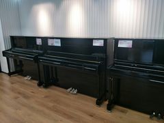 -雅马哈钢琴专卖店盛世雅歌琴行·电钢琴城·钢琴培训(翠微路店)