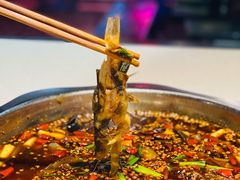 -满诗爷黄辣丁(金岛花园店)