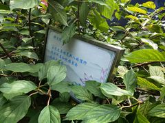 -长安寺