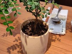-CURRY YA 熟成咖哩專門店(深圳湾万象城店)