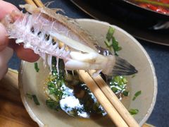 -洋马儿火锅(解放碑店)
