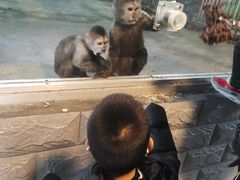 -西安秦岭野生动物园
