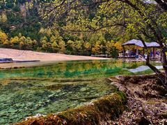 -黄龙山原始森林景区