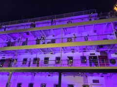 -武汉知音号