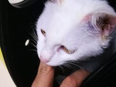 -宠颐生中康贝怡动物医院