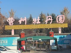 -曹州牡丹园