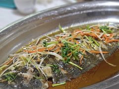 -宾朋海鲜特色美食餐厅·纯手工鲅鱼水饺(兴海路店)