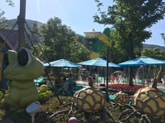 -苏州乐园森林水世界