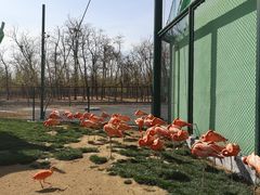 -秦皇岛野生动物园