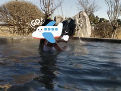 -青岛海泉湾度假区温泉