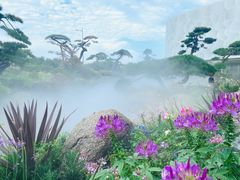 -罗红摄影艺术馆