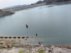 -长沙黑麋峰国家森林公园