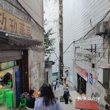 这家真是梯坎上偶遇的惊喜