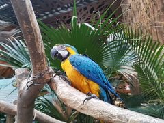 -杭州开元森泊度假乐园