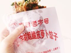 -半月镰胡姐脆皮萝卜饺子