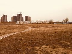 -丁香湖公园