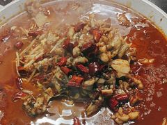 -美蛙四季(亦庄店)