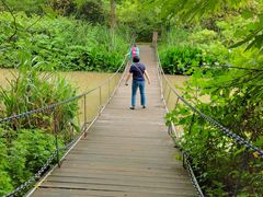 -桤木河湿地公园