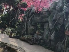 -天目湖山水园