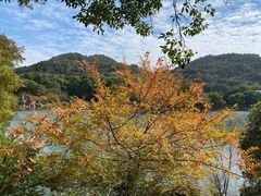 -白马涧龙池景区