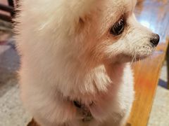 -万达文华酒店·48F云端窗景美食汇自助餐厅