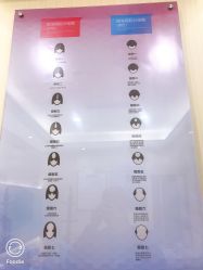 -碧莲盛·不剃发植发