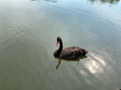 -长兴太湖图影湿地文化园
