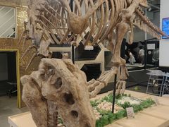 -FAIRYLAND龙族星球主题餐厅(凯丹广场店)